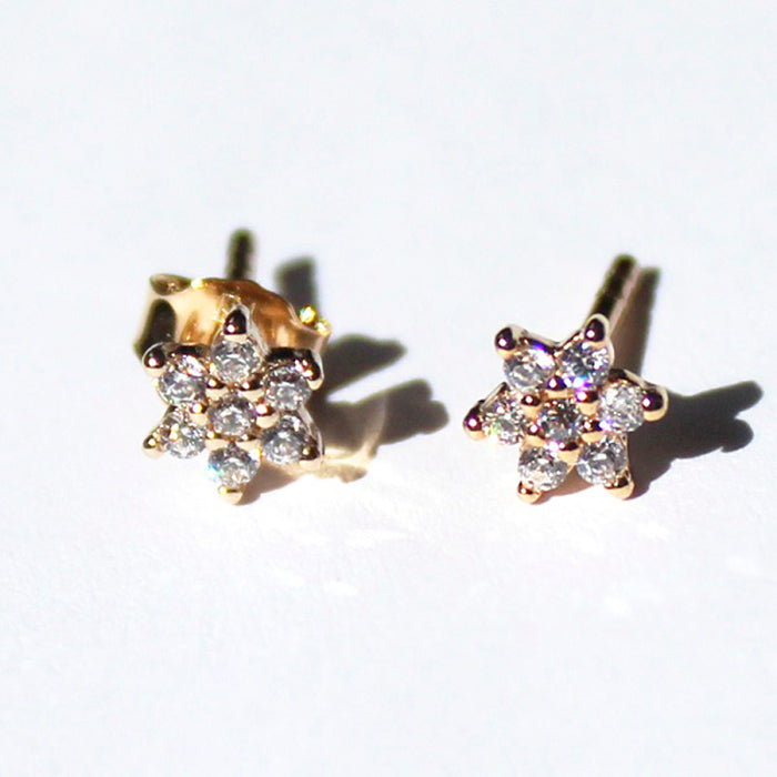 Pendientes Flores brillantes HOPS